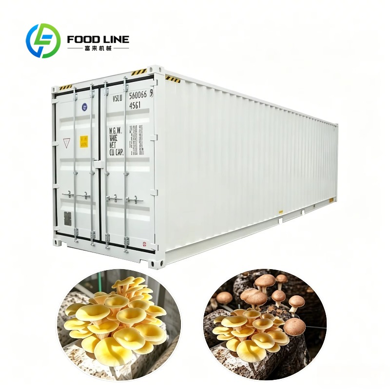 Urban Farming Hydroponics - Hydroponische Containerfarm mit automatischem Bewässerungssystem für