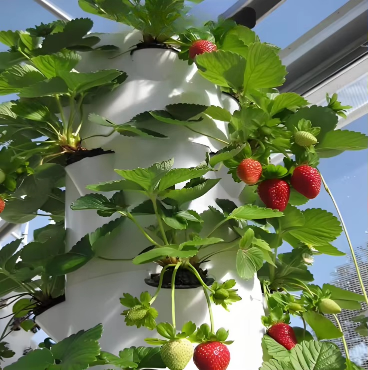 Modulares Hydroponik-Wachstums – Urban Farming Hydroponics Bewertung und Preis