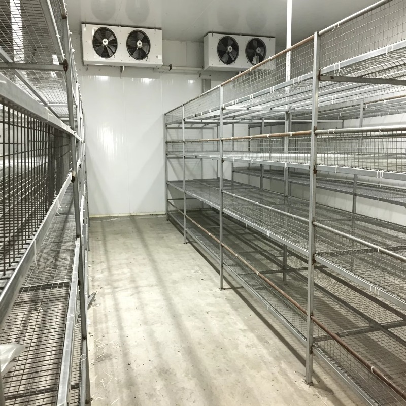 Hydroponische Containerfarm mi – Urban Farming Hydroponics Bewertung und Preis