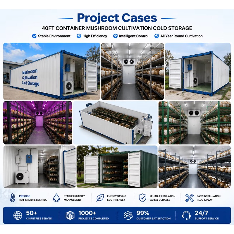 Hydroponische Containerfarm mi – Urban Farming Hydroponics Bewertung und Preis